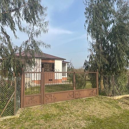 Apartment Comfort In يوريكي المظهر الخارجي الصورة